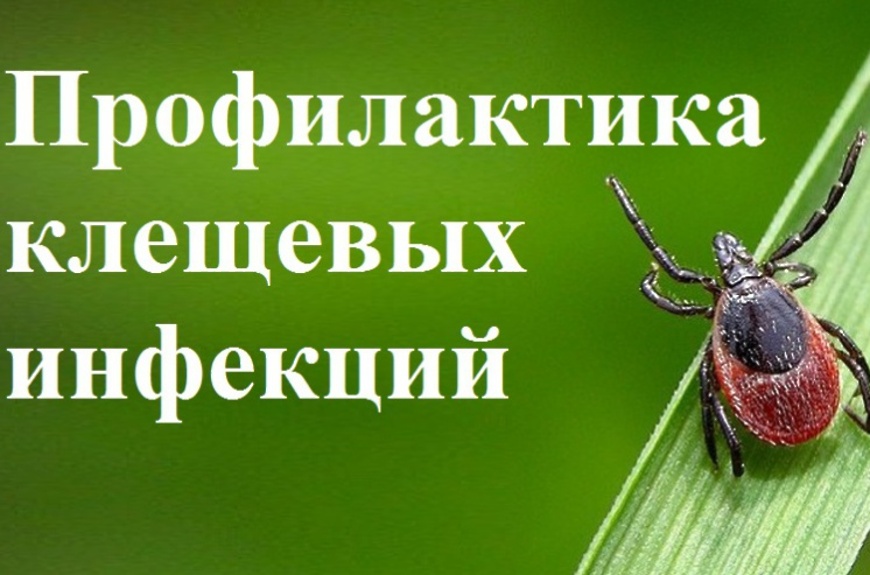 О профилактике инфекций, передающихся иксодовыми клещами.